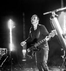 Bass Player Composer