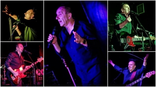 Bass Player Songwriter